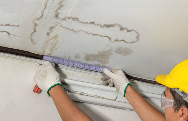 Reliable Mold Remediation contractor in Bardwell, TX by Water Damage Irwin